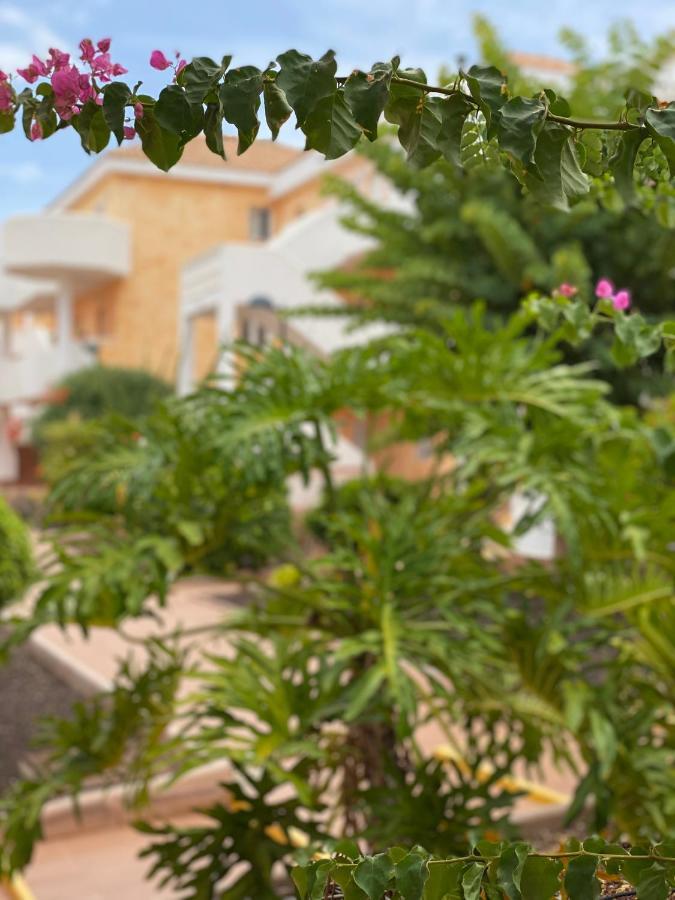Golden Suite Ocean View & Pool Los Cristianos  Exterior photo